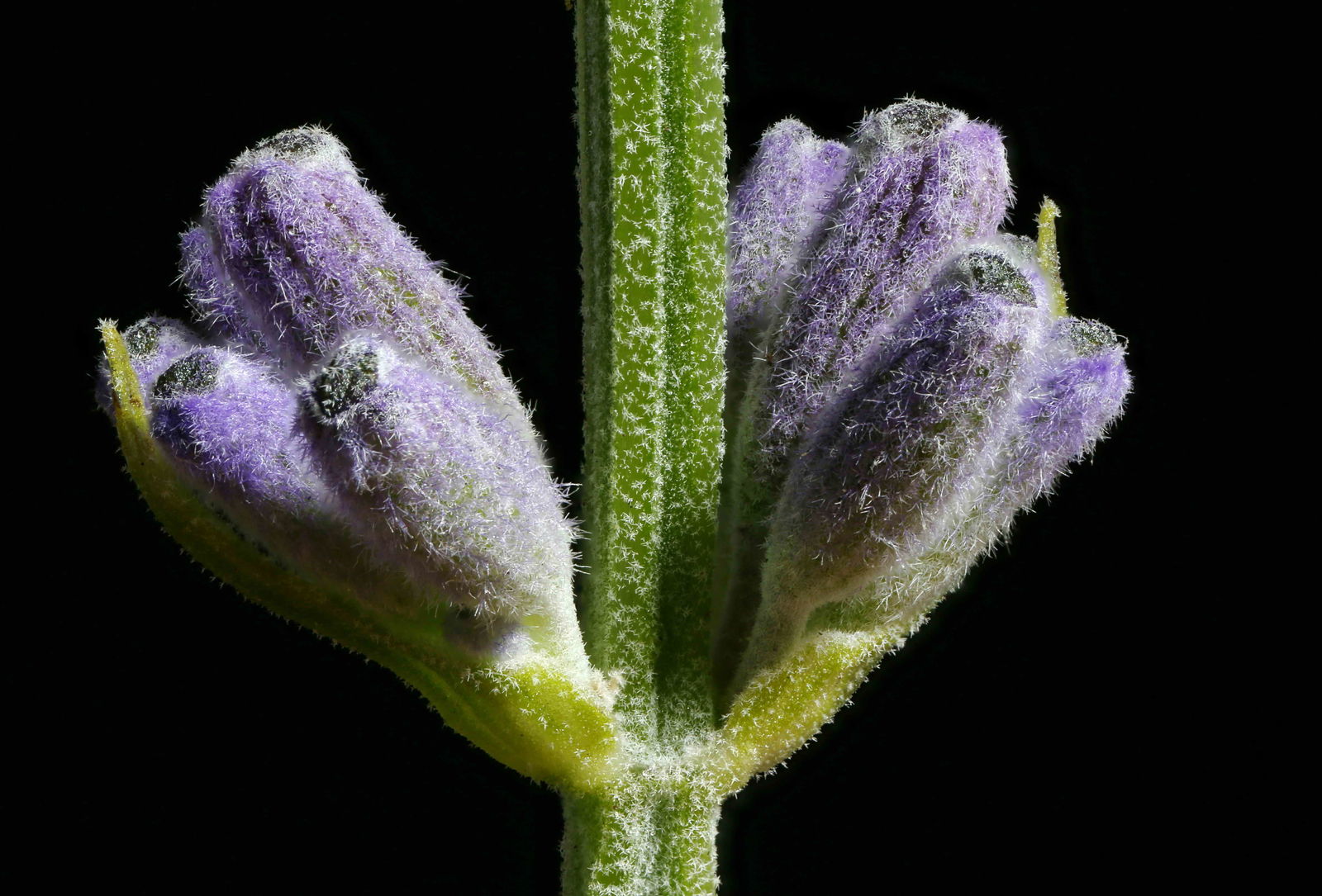 undefined 4