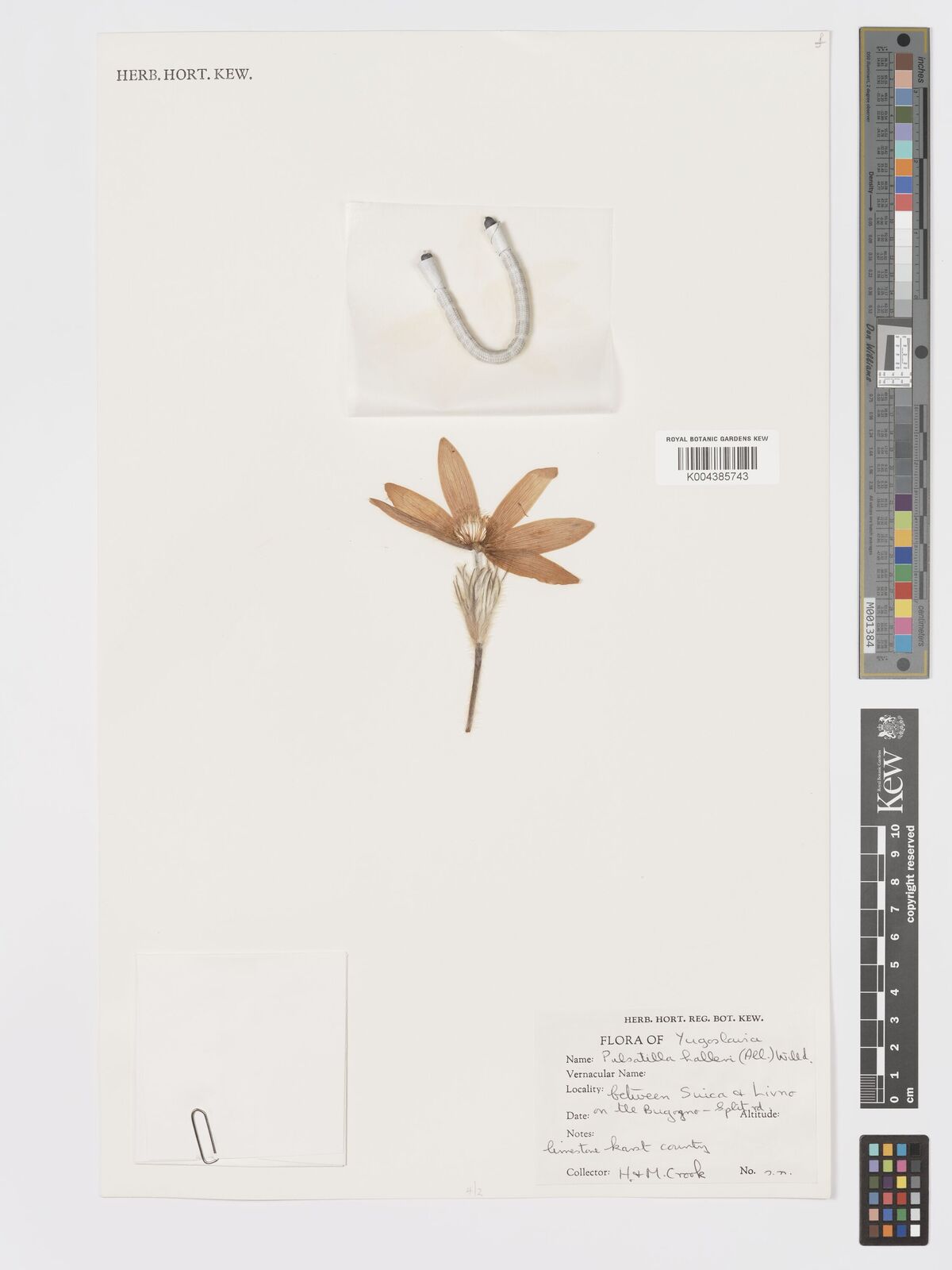 undefined 10