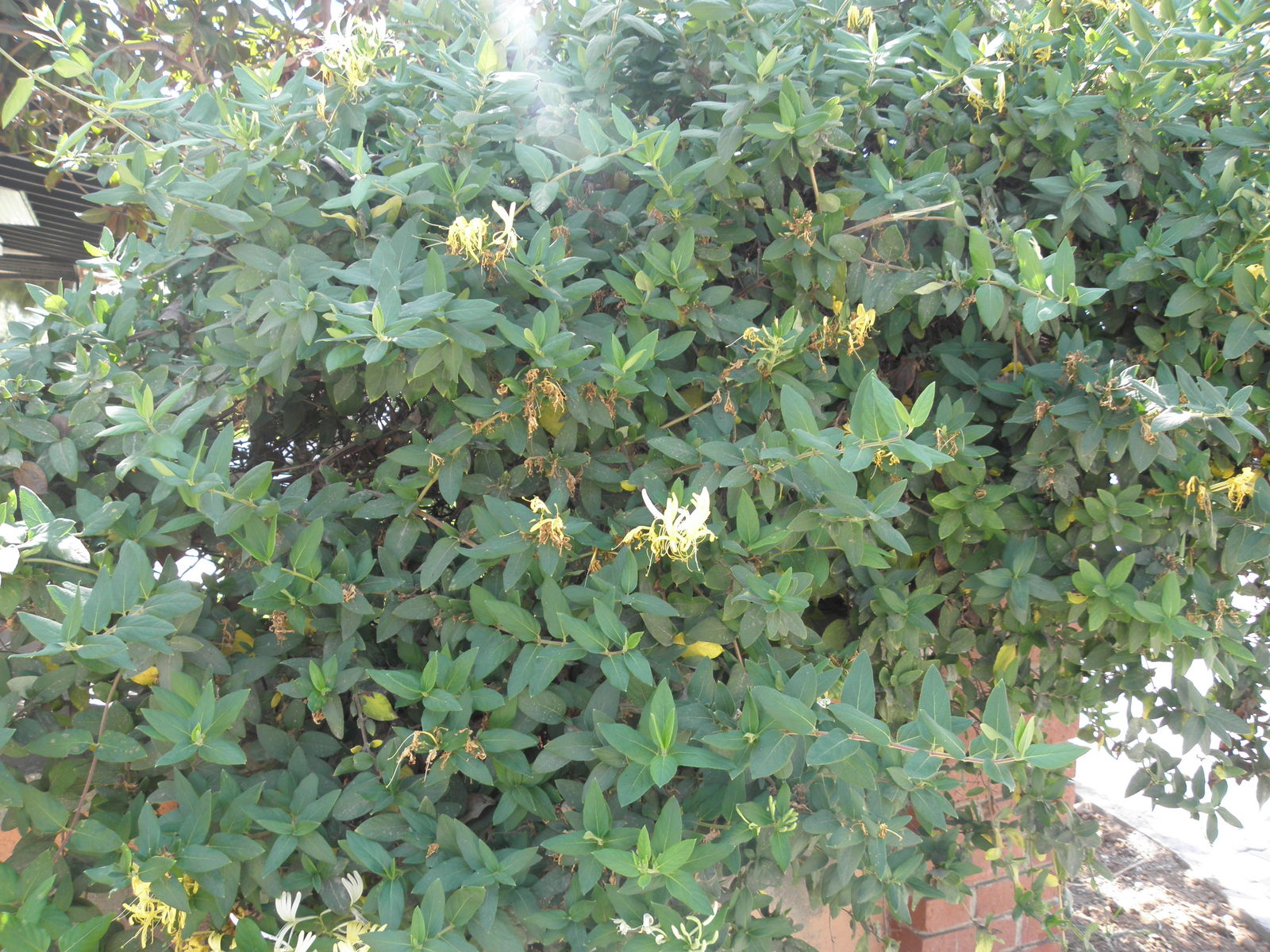 undefined 3