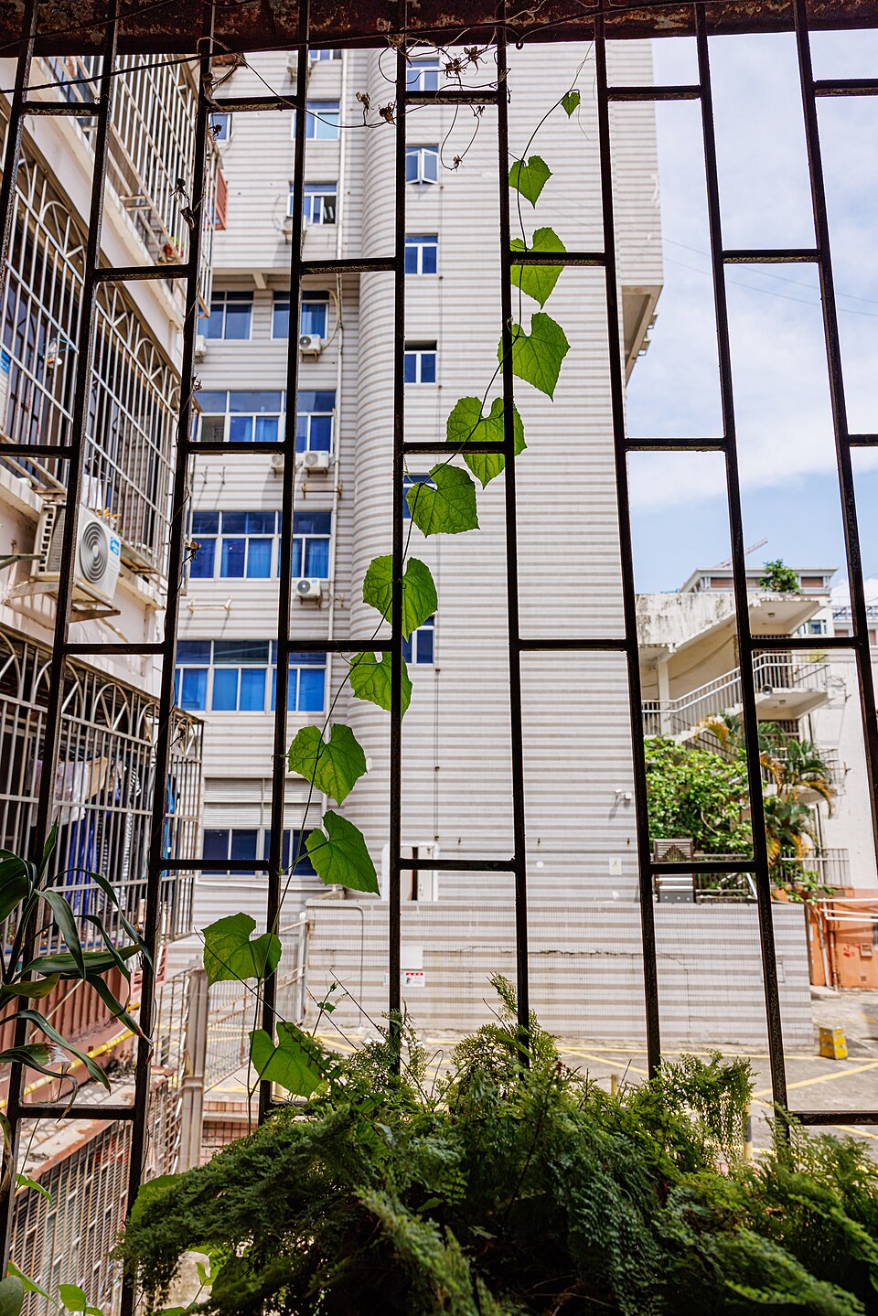 undefined 3