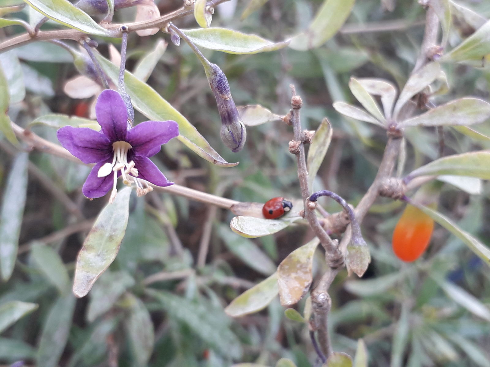 undefined 4