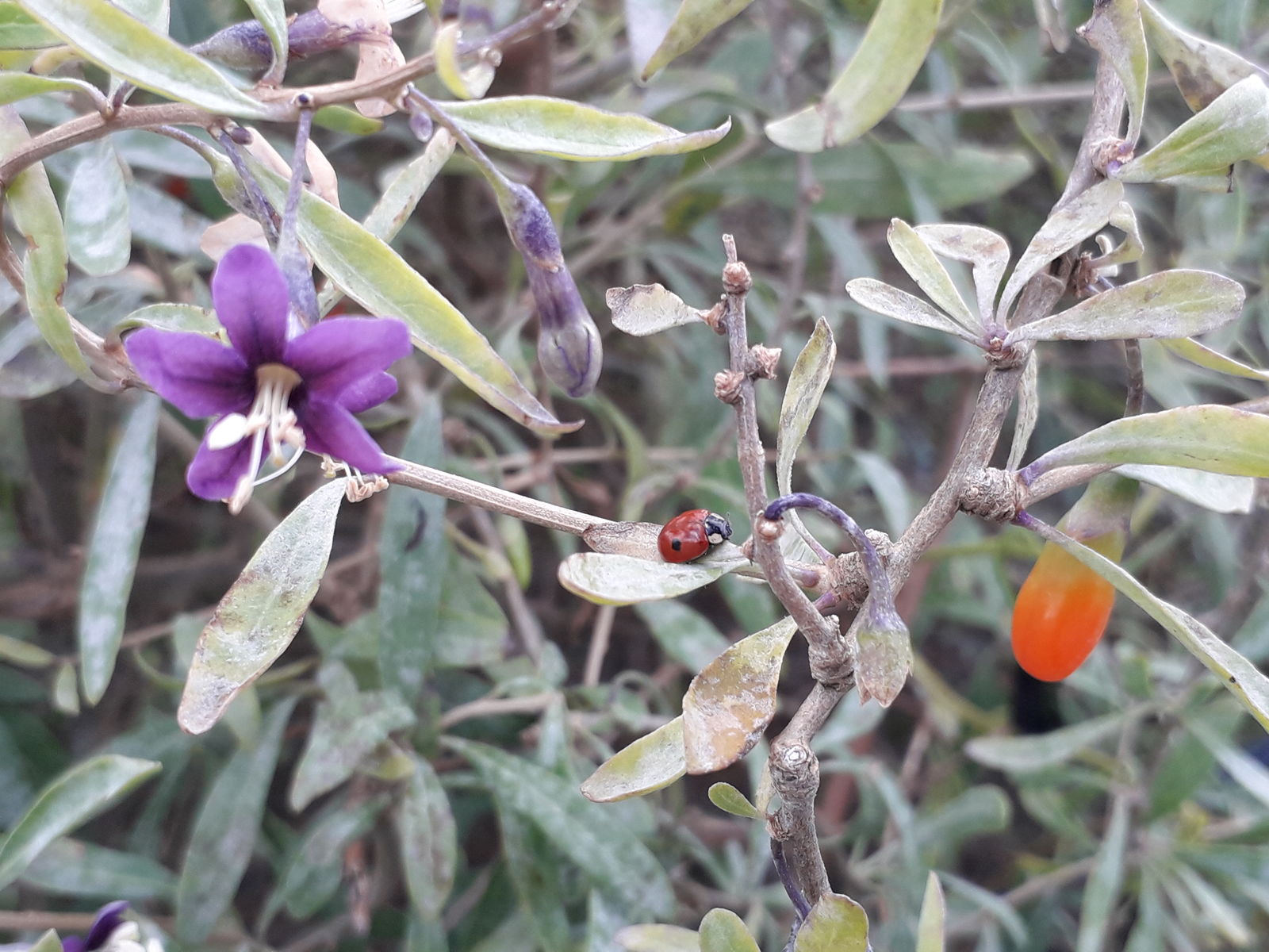 undefined 2