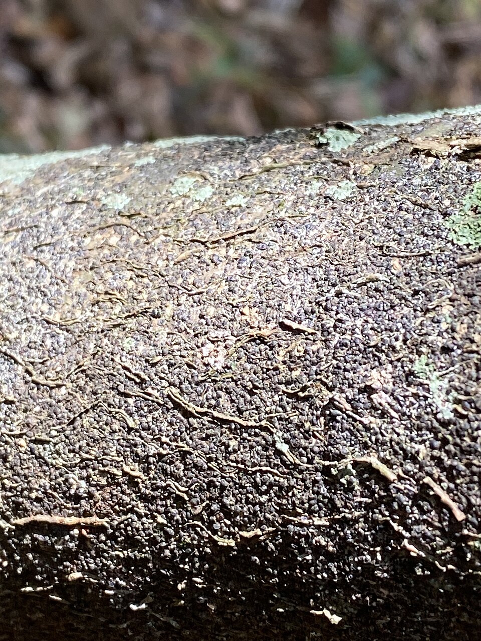 undefined 2