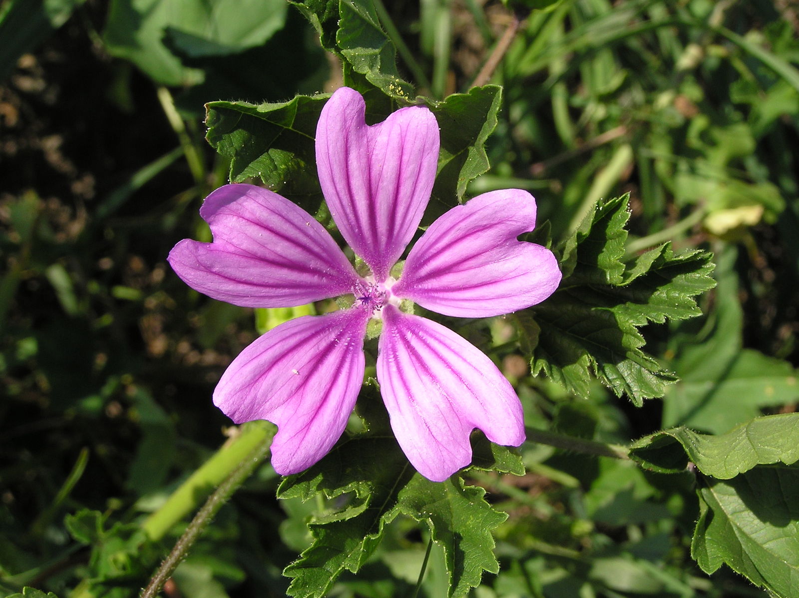 undefined 2