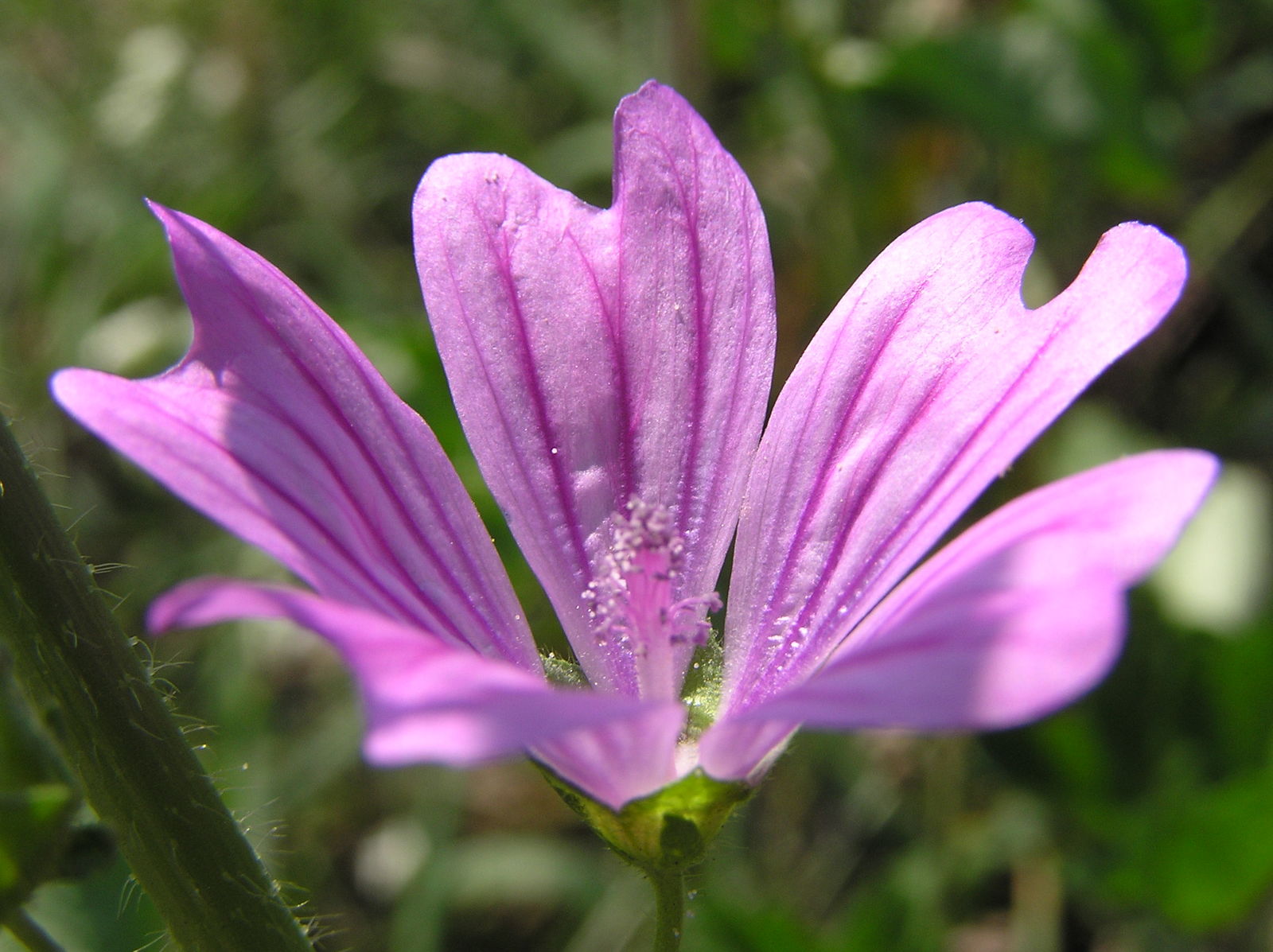 undefined 11