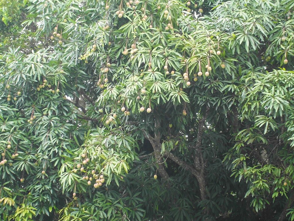 undefined 2