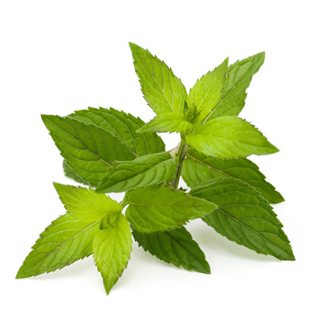 undefined 9