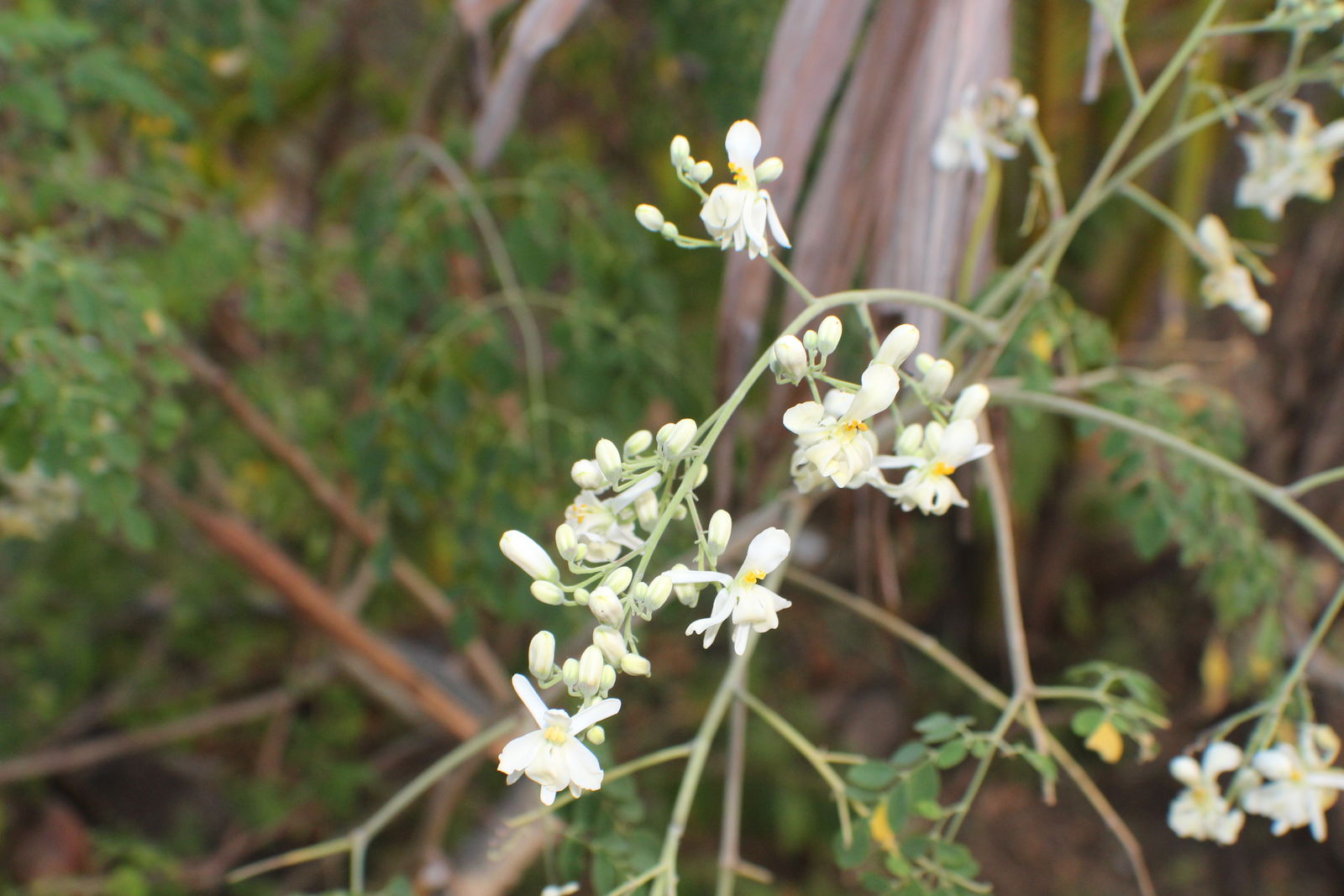 undefined 4