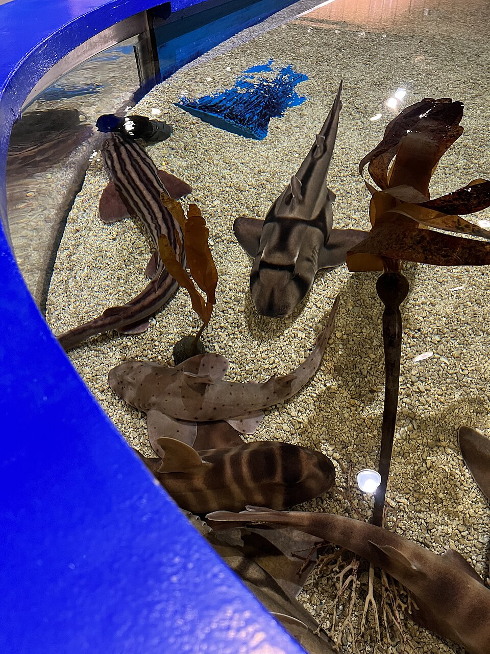 undefined 11