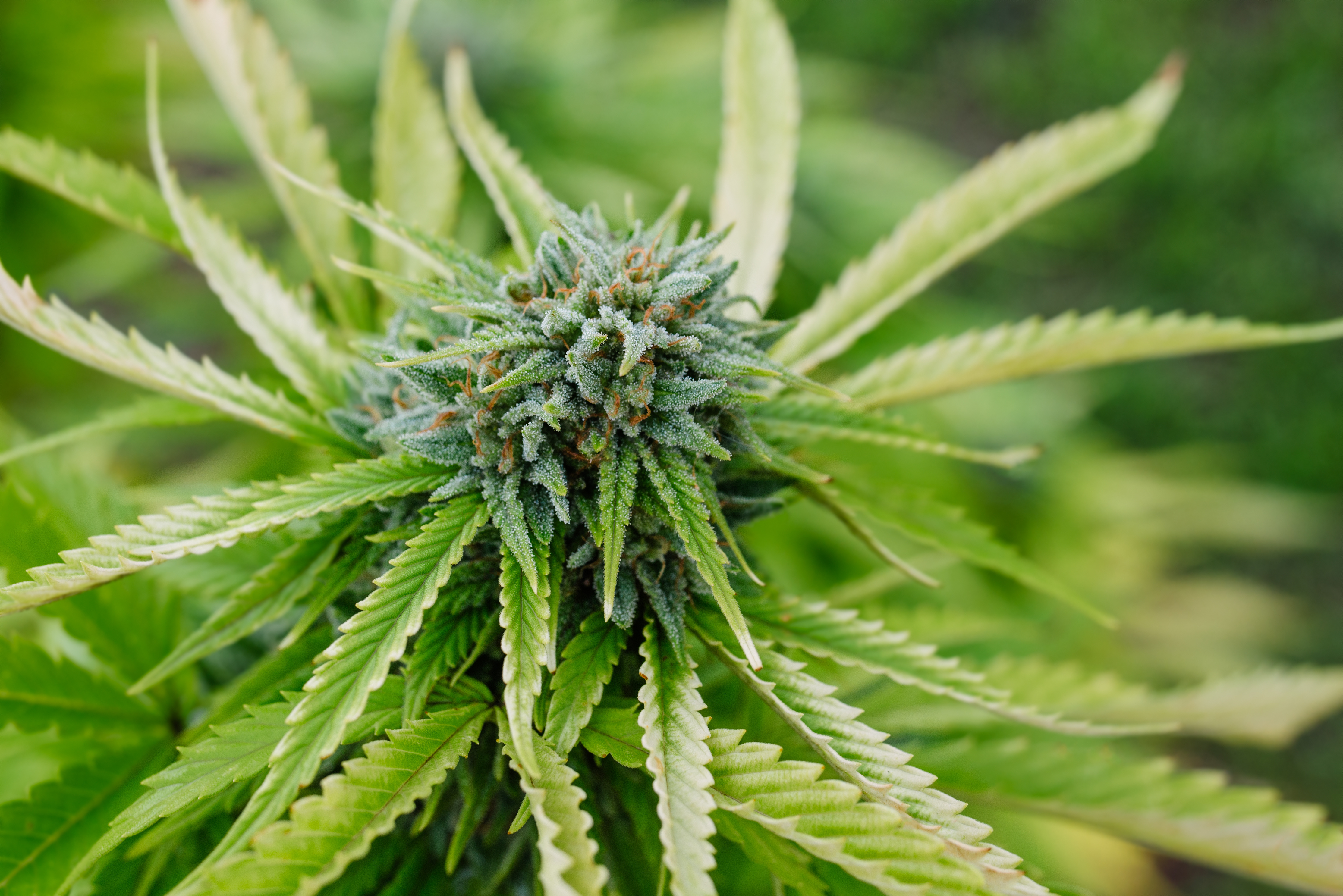 undefined 4