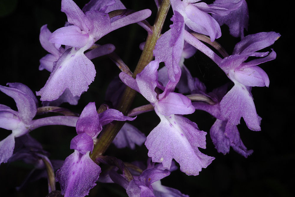 undefined 2