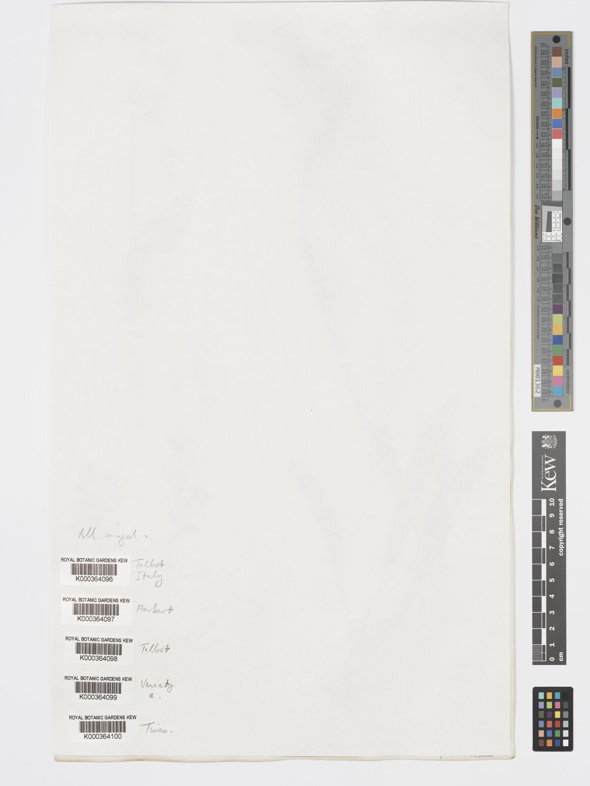 undefined 8