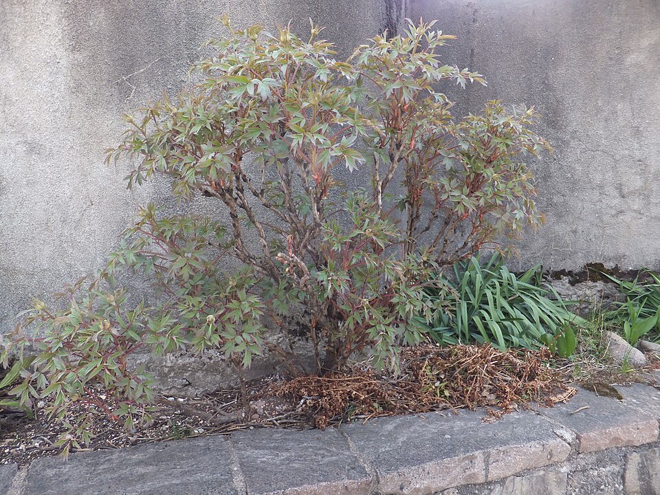 undefined 4