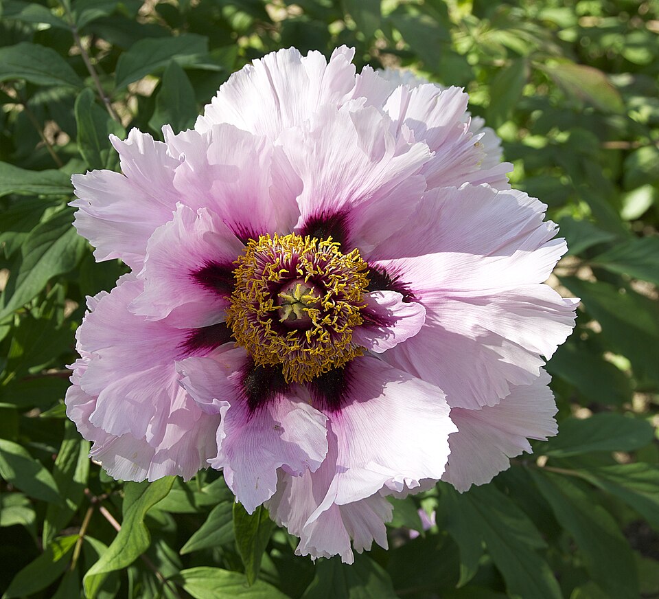 undefined 2