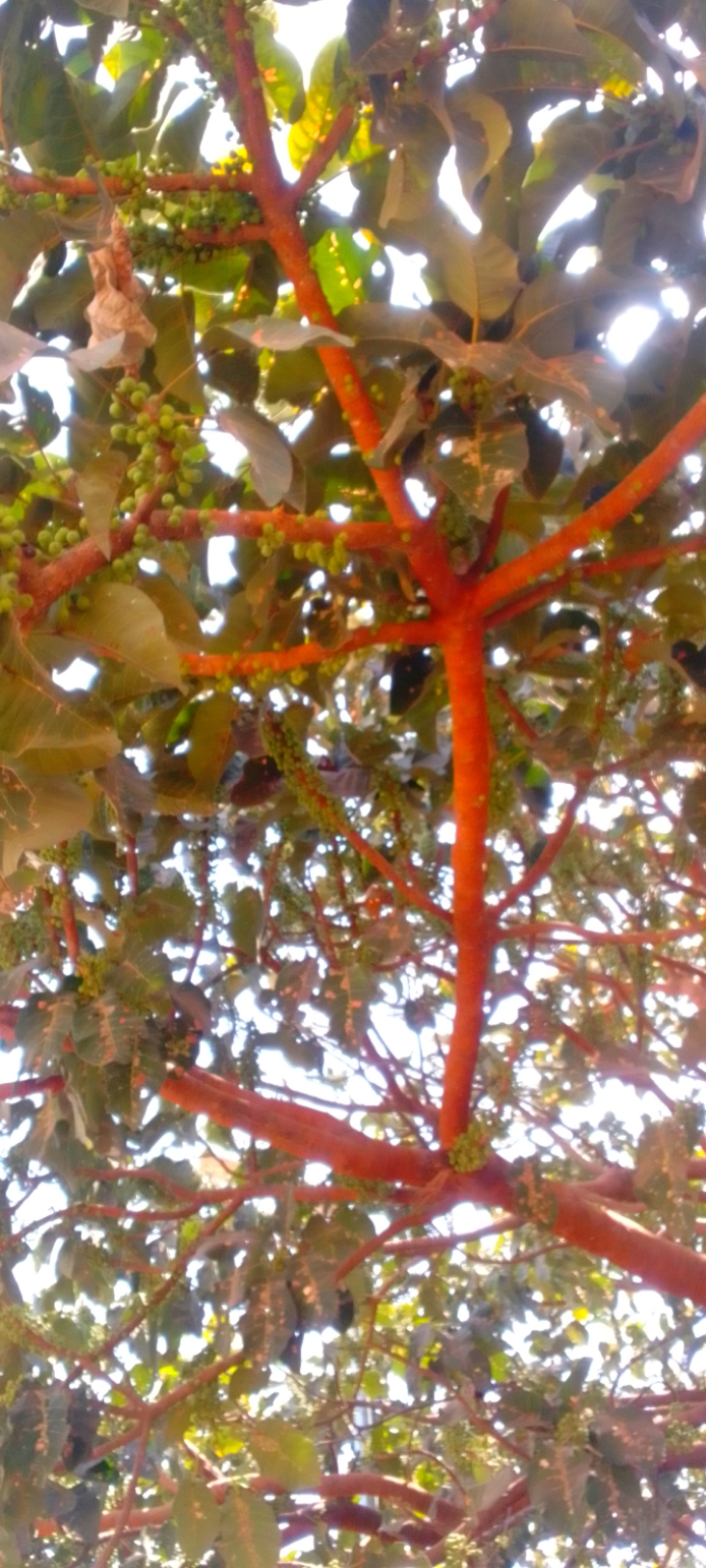 undefined 2