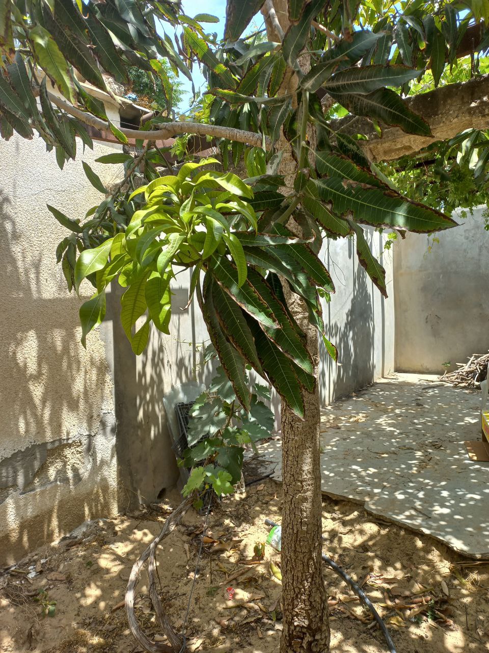 undefined 2