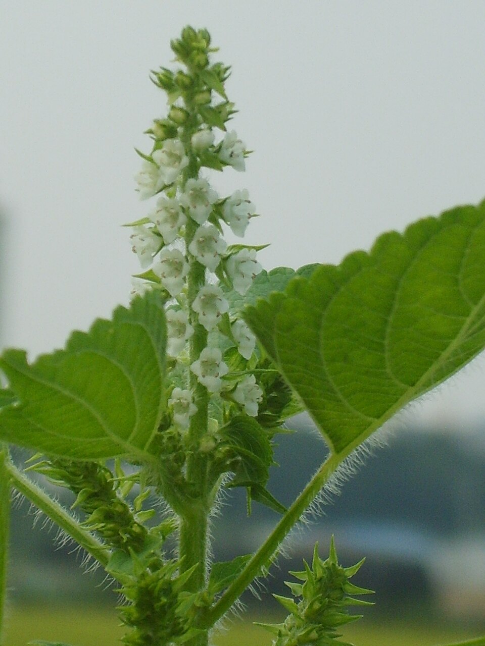 undefined 2