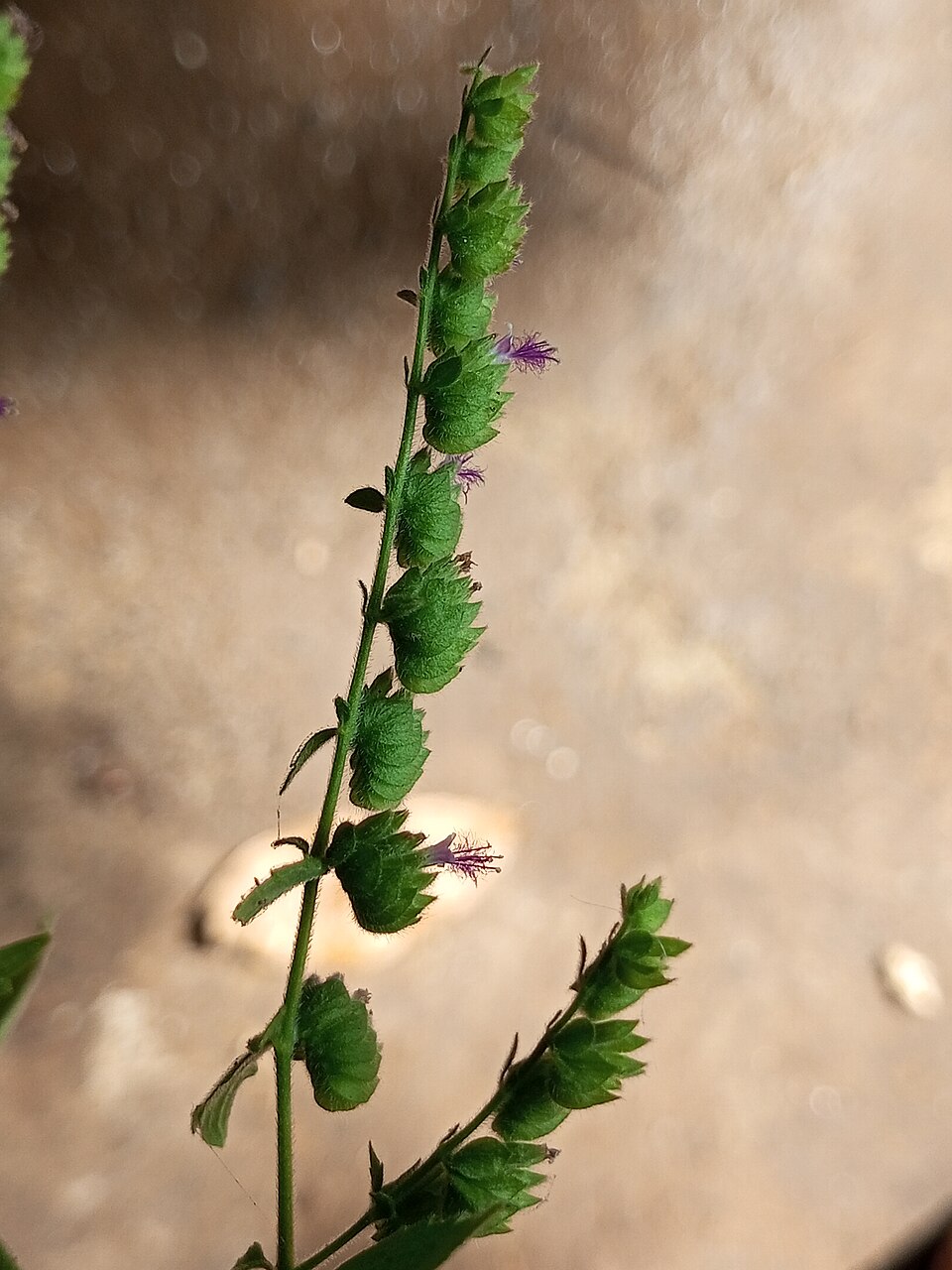undefined 4