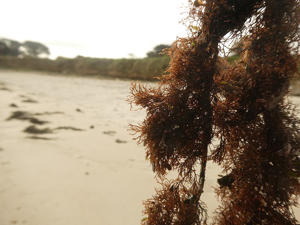 undefined 4