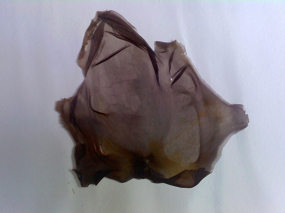 undefined 2