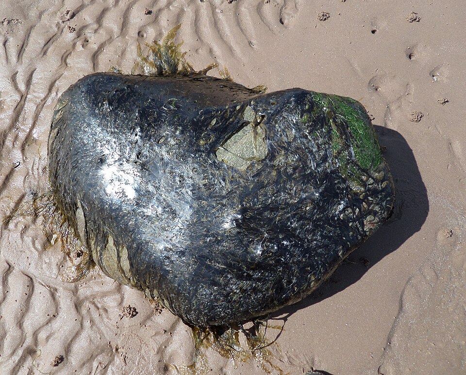 undefined 4