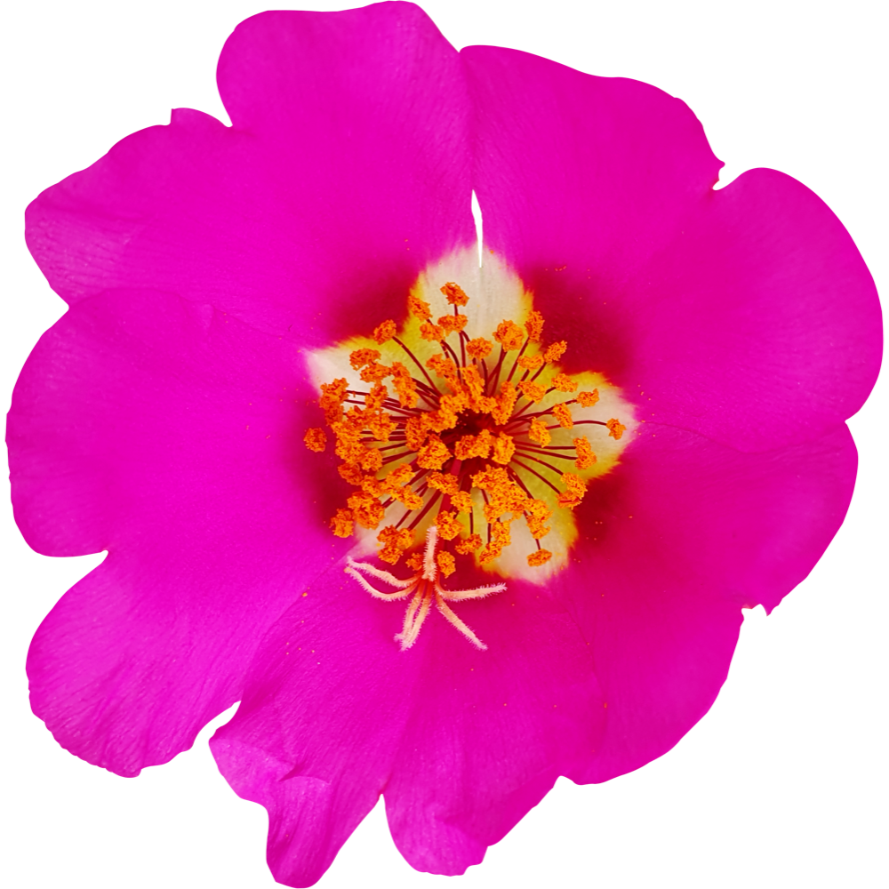 undefined 1