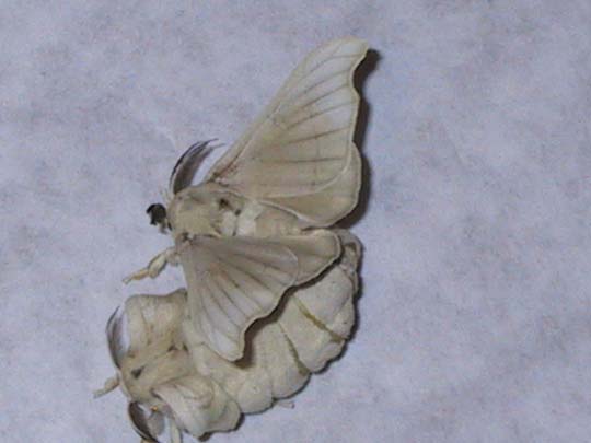 undefined 2