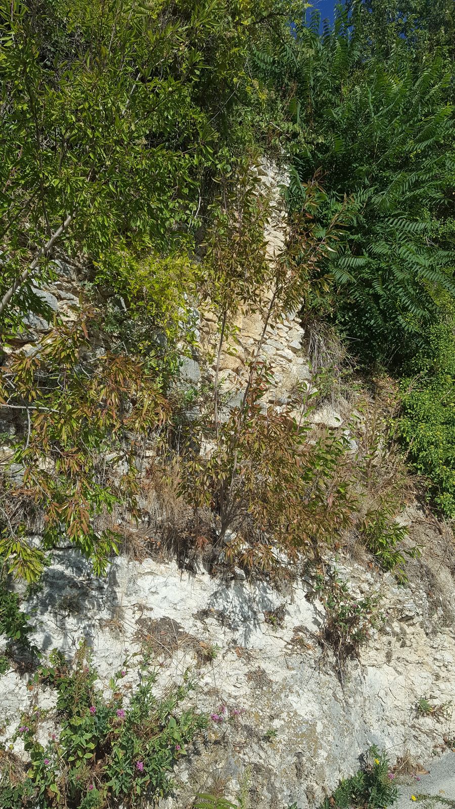 undefined 4
