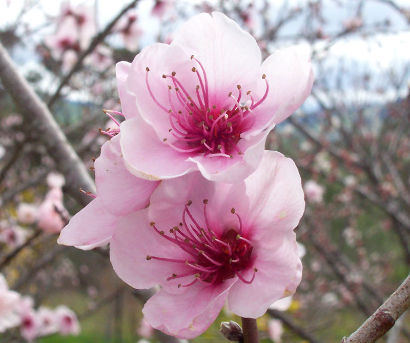 undefined 2
