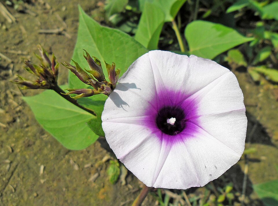 undefined 2
