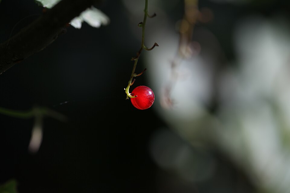 undefined 4