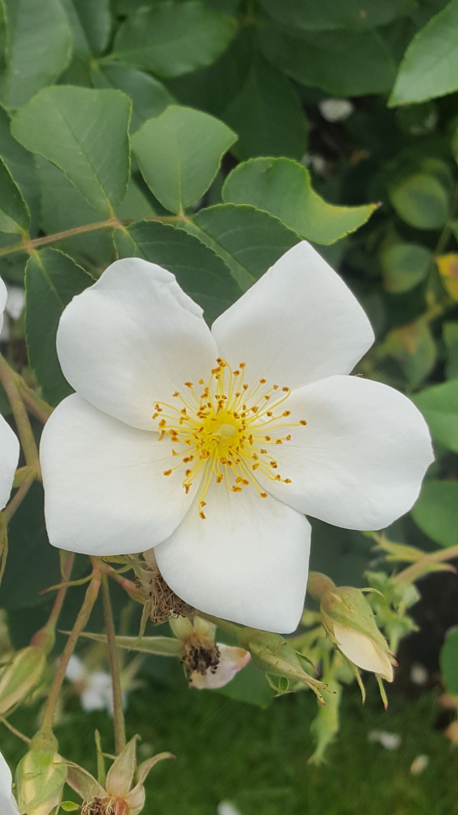 undefined 4