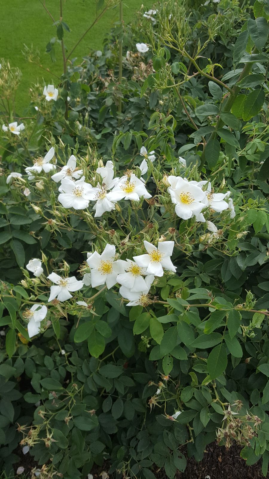 undefined 2