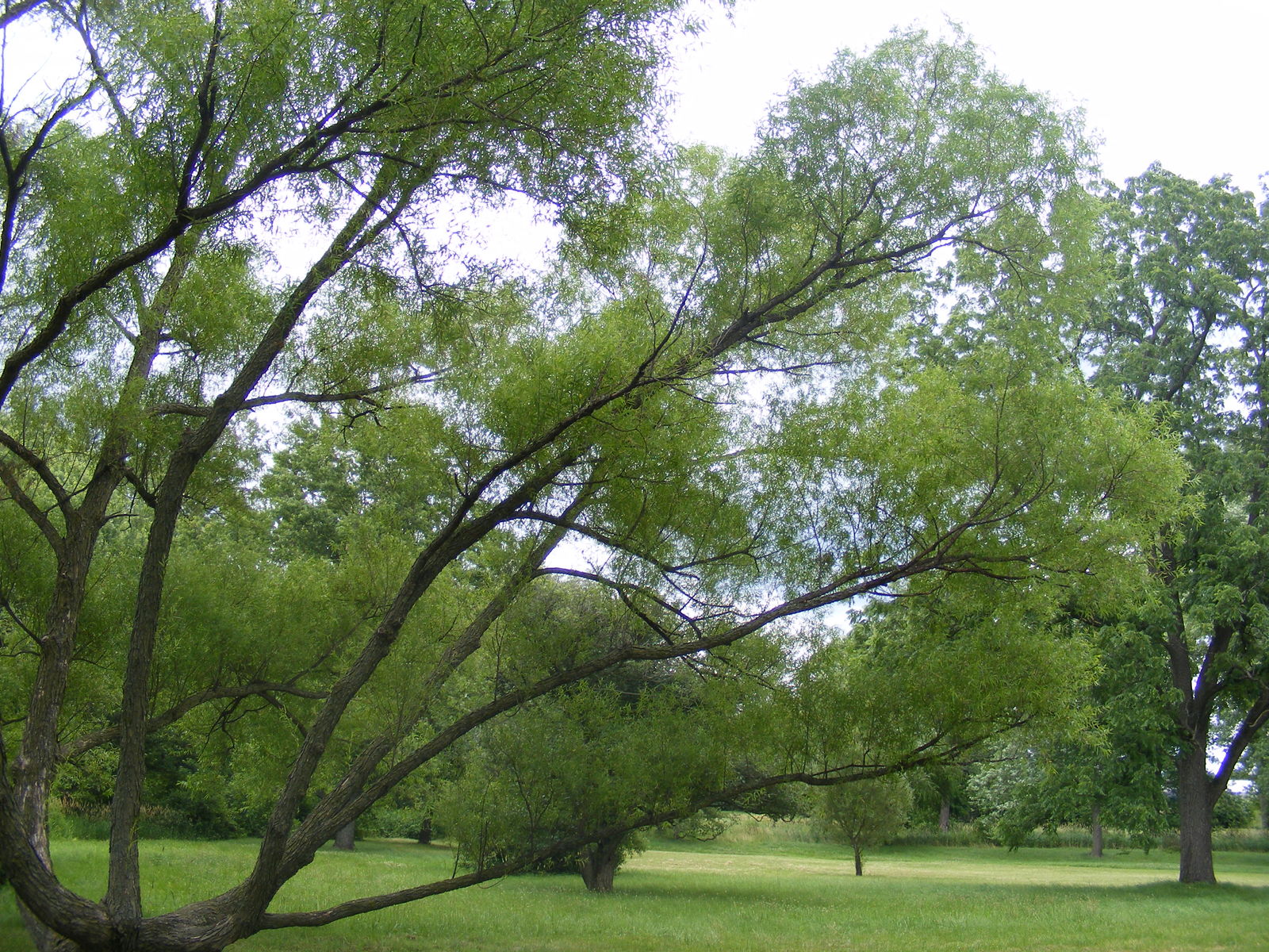 undefined 2