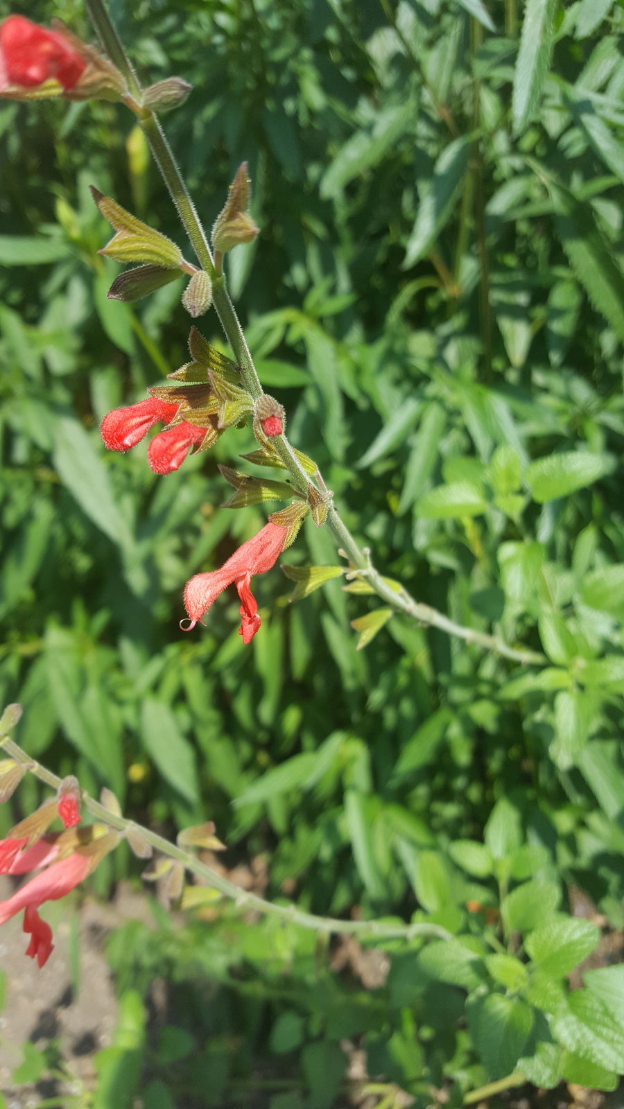 undefined 11