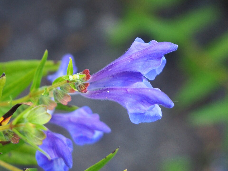 undefined 3