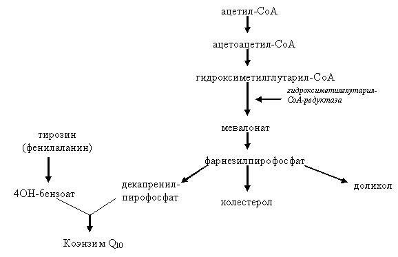 undefined 8