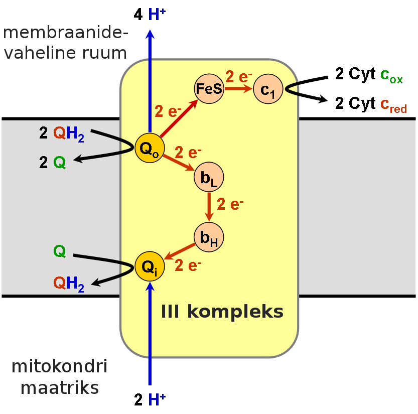 undefined 10