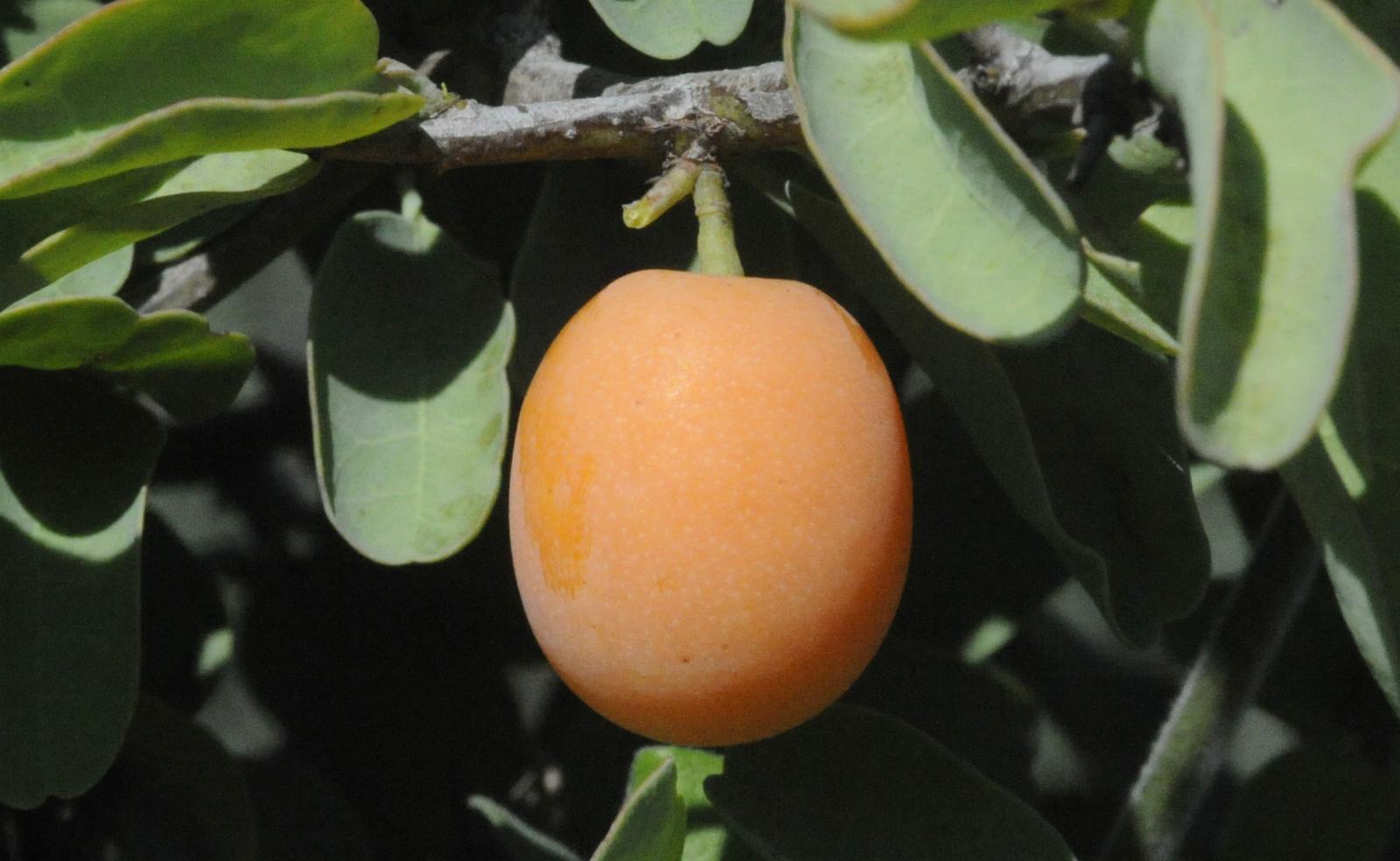 undefined 3