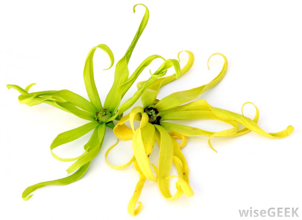 undefined 5