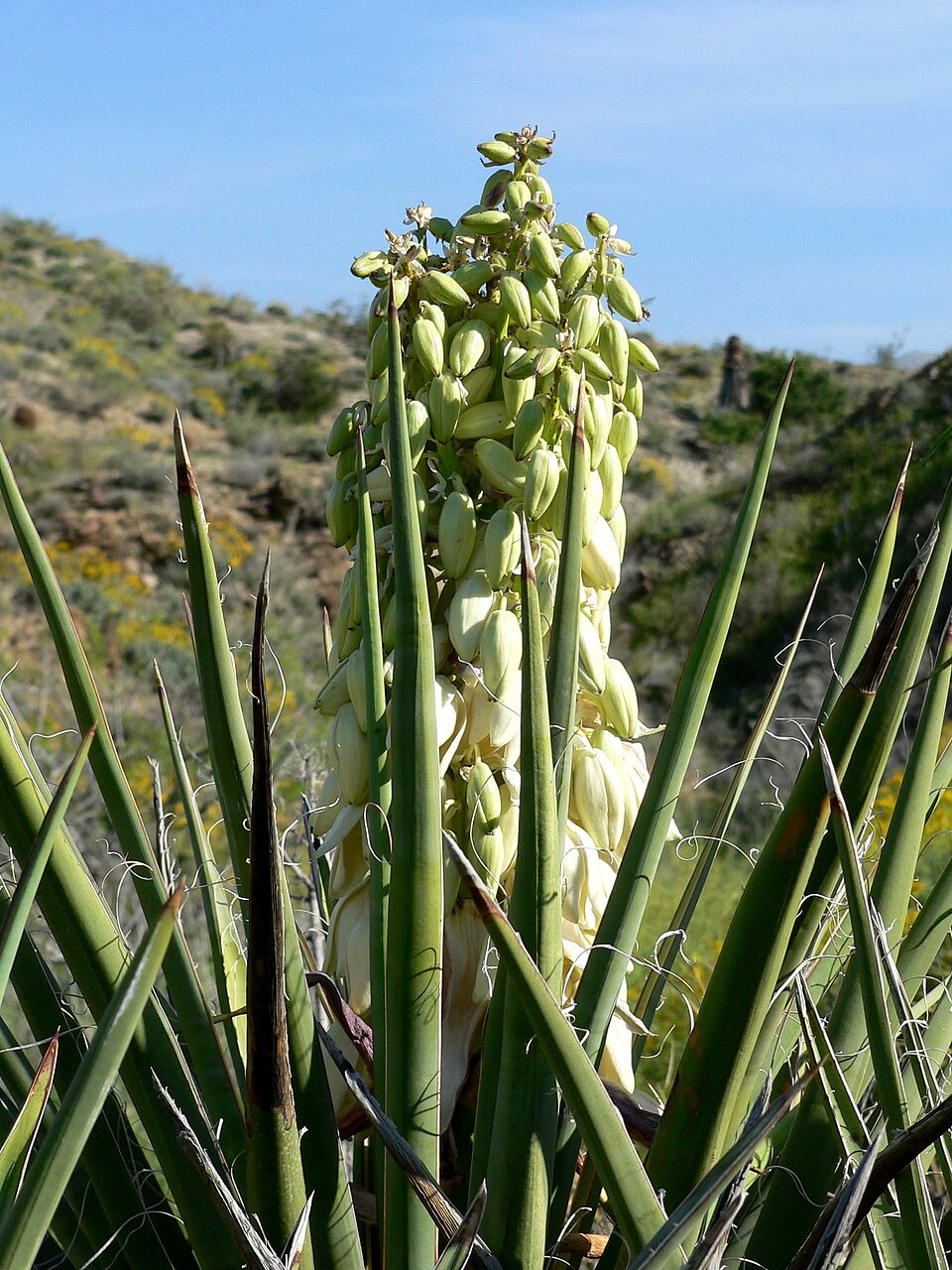 undefined 2