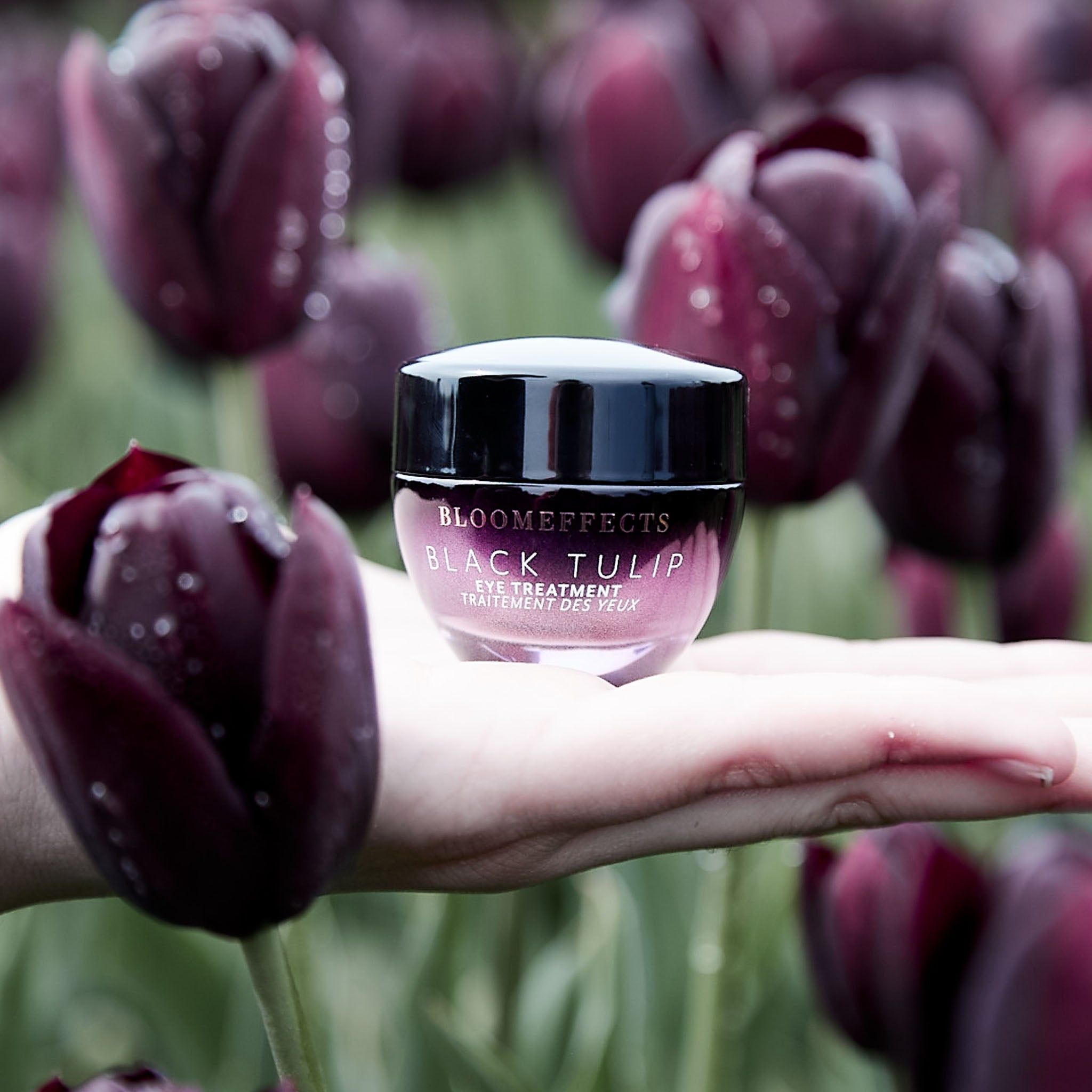 Black Tulip Eye Treatment 2