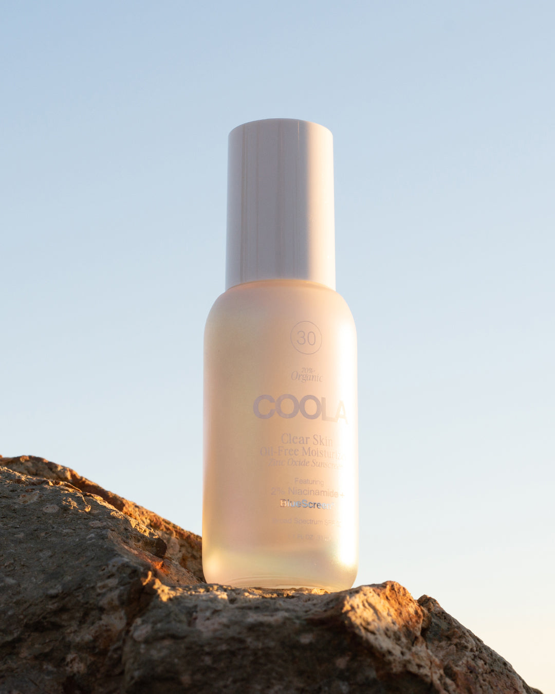 Clear Skin Oil-Free Moisturizer 1
