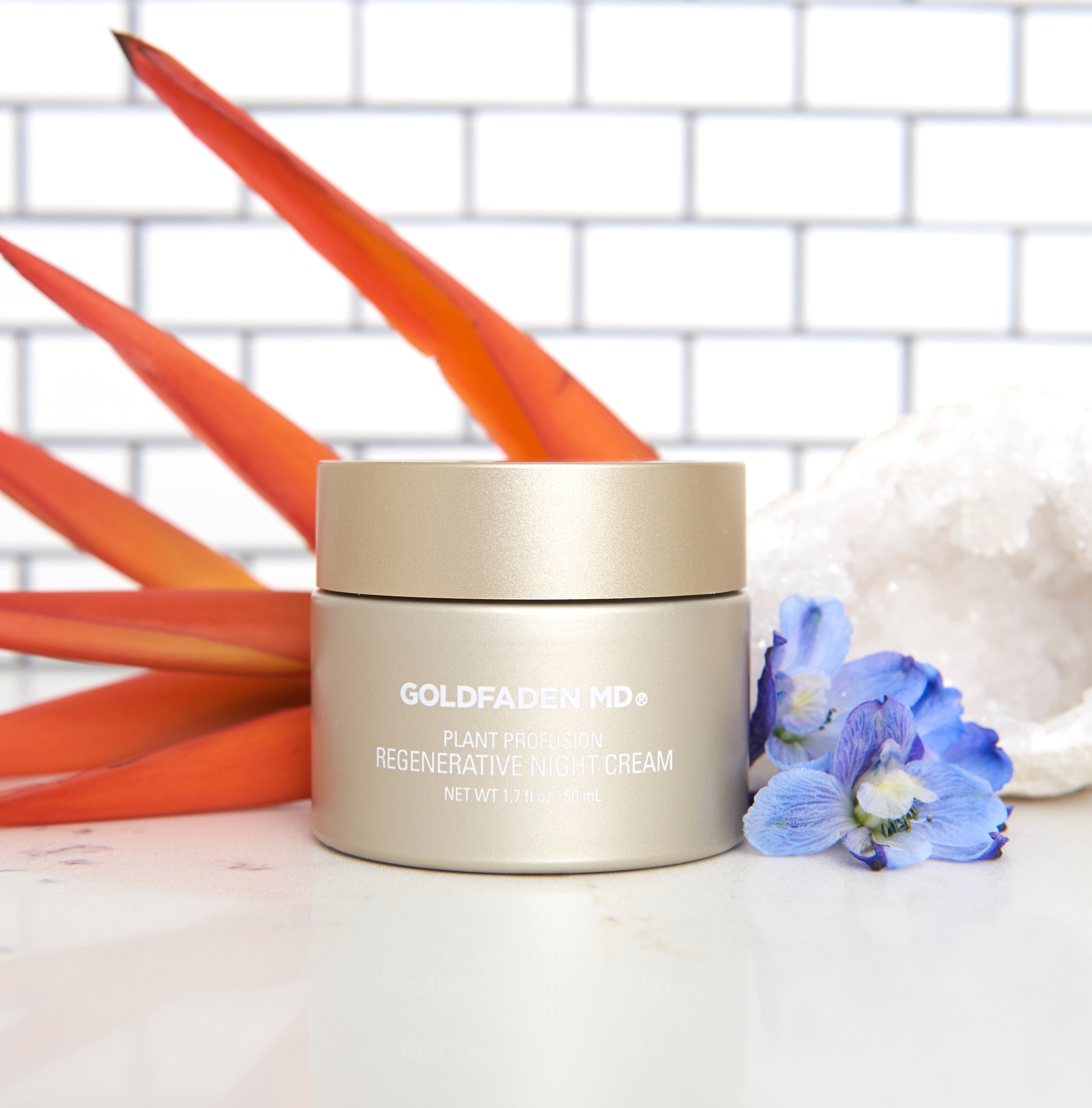 Plant Profusion Night Cream 1
