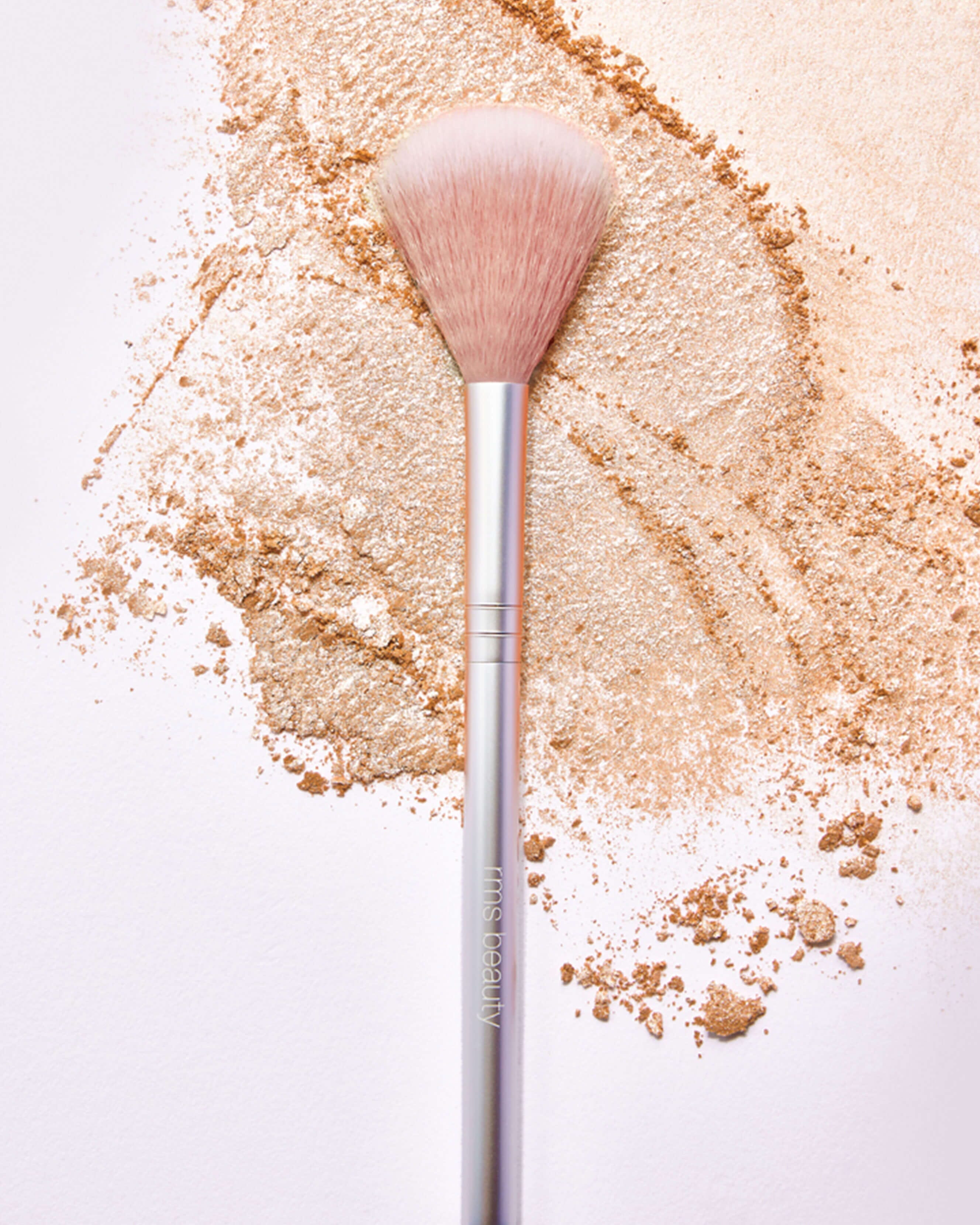 Skin2Skin Classic Fan Brush 2