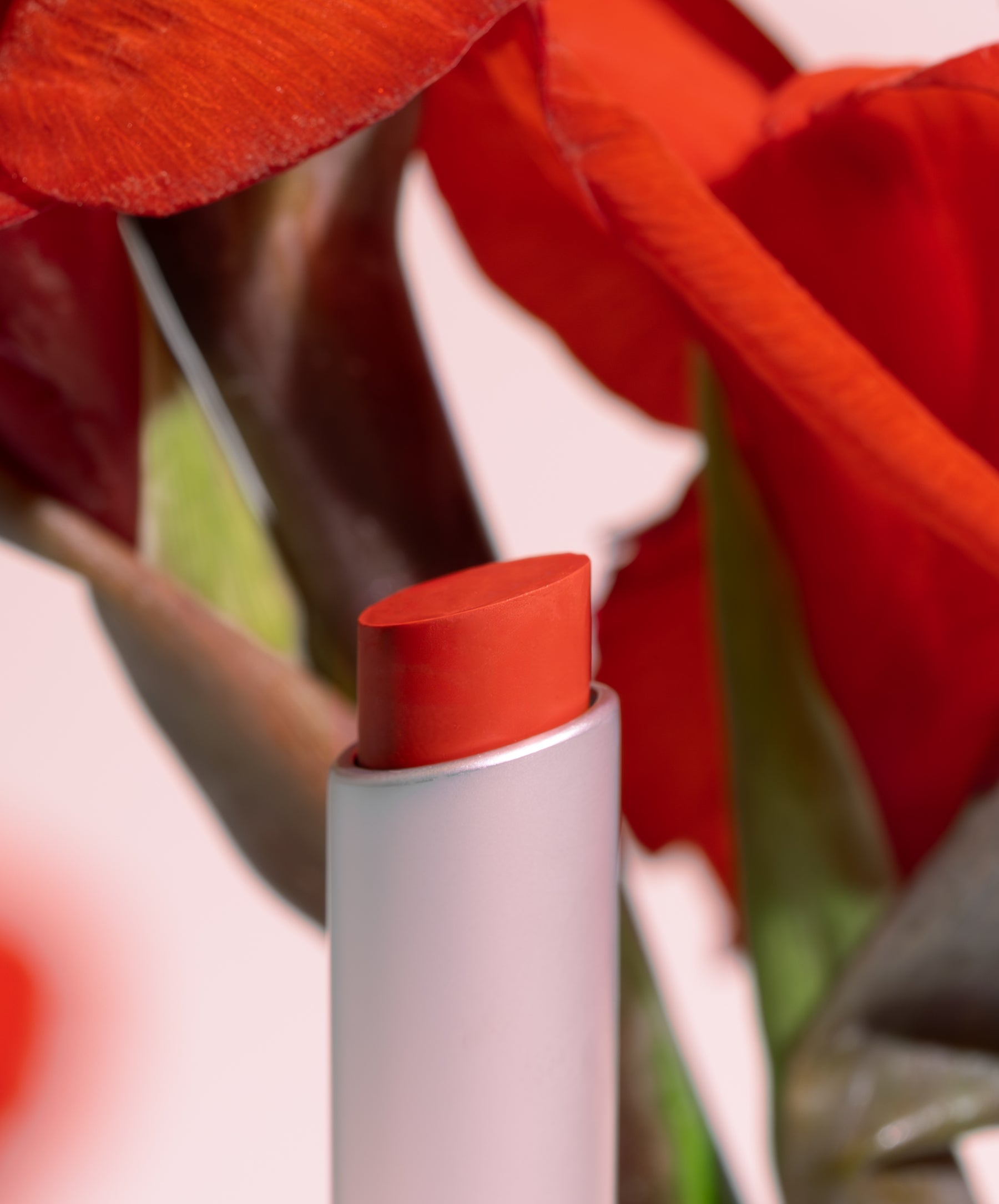 Wild With Desire Lipstick 1