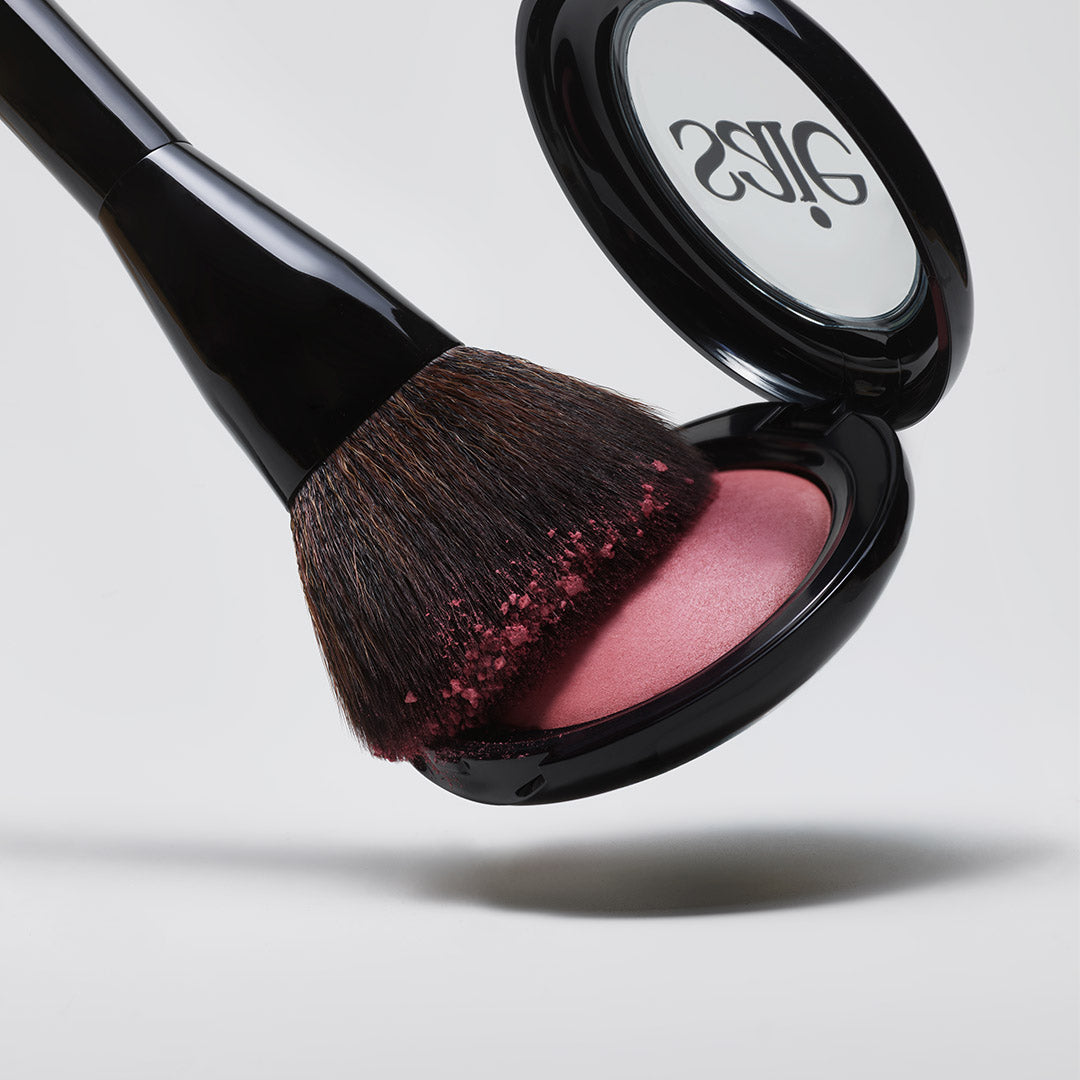 The Powder Blush Brush 4