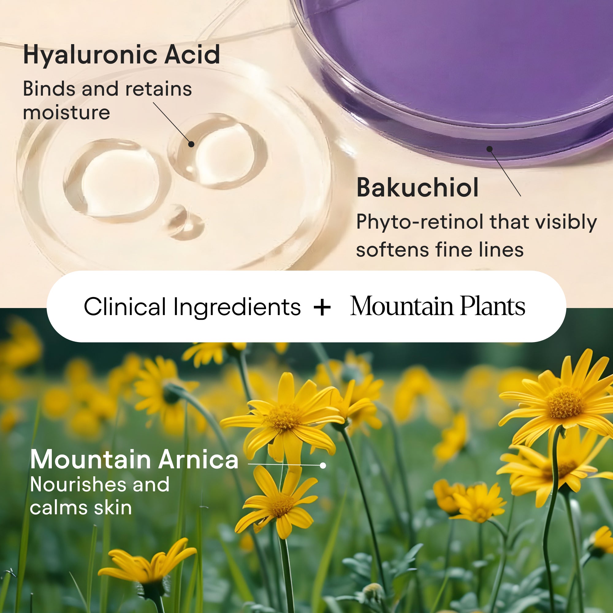 Melt Moisturizer 8
