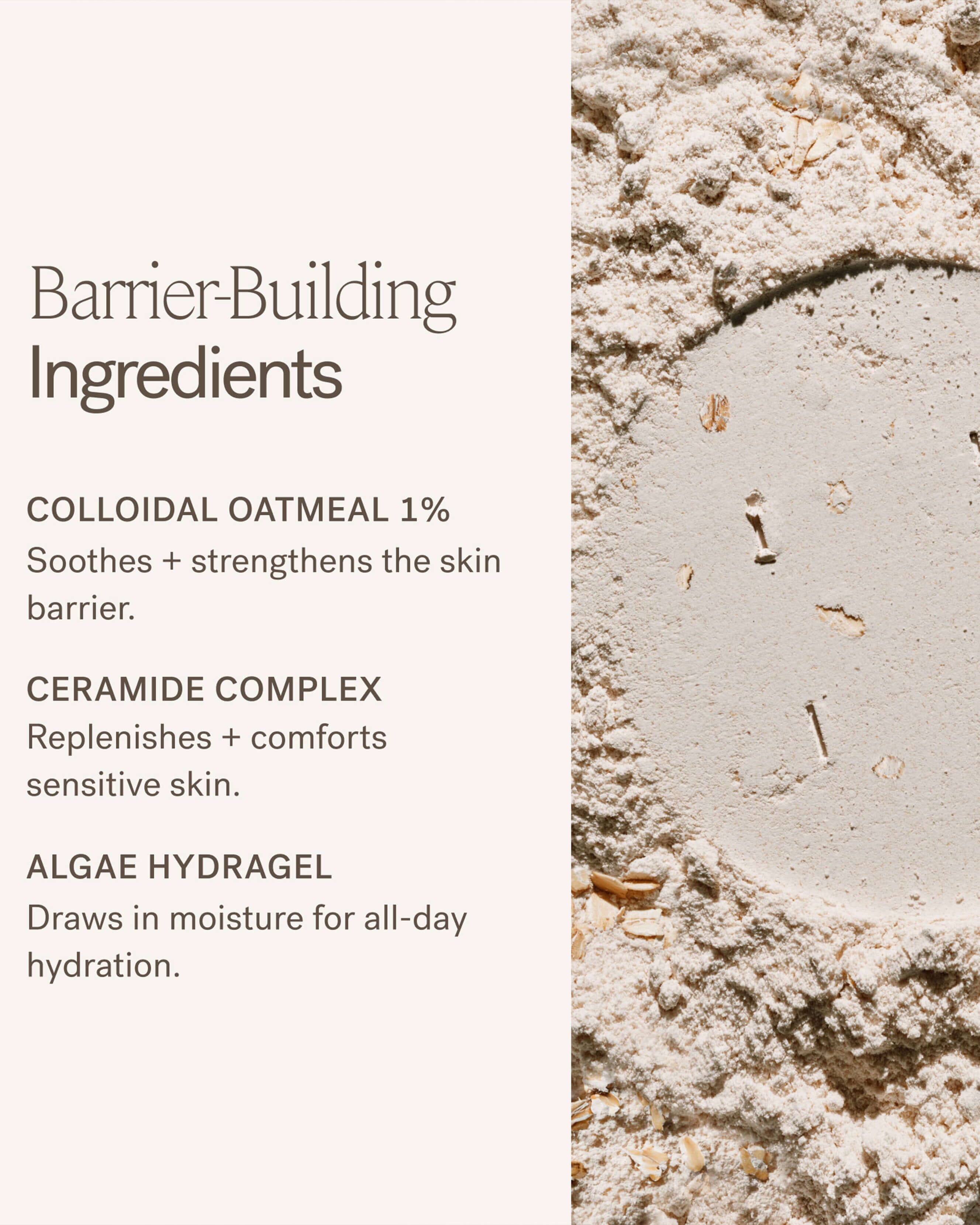 Barrier Build Skin Protectant Cream 6