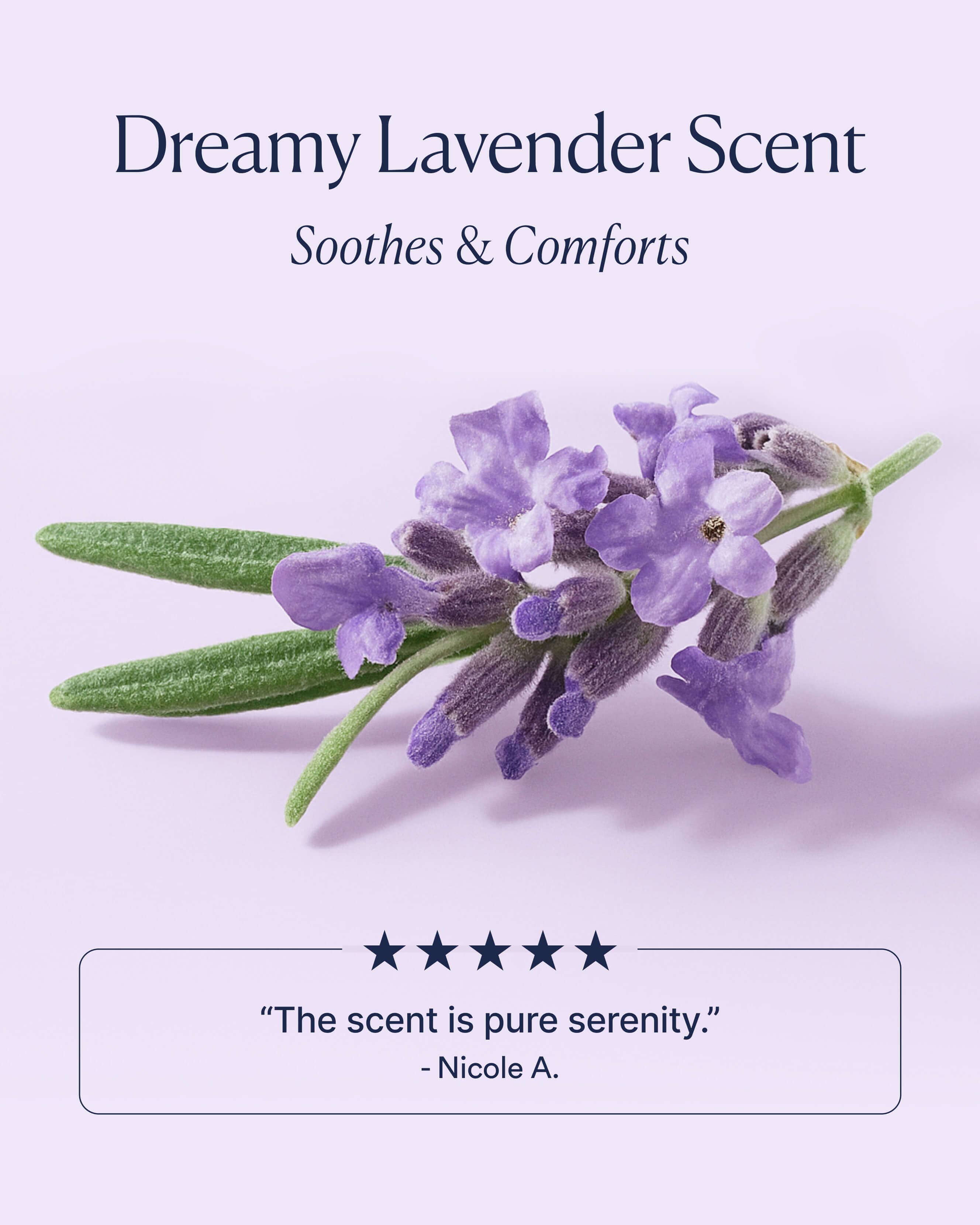 Dream Bio-Retinol Body Serum 8
